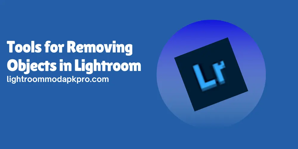 Tools for Removing Objects in Lightroom